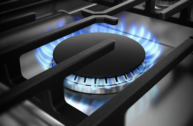 Quemador FlexHeat